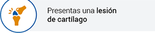 lesion-cartilago